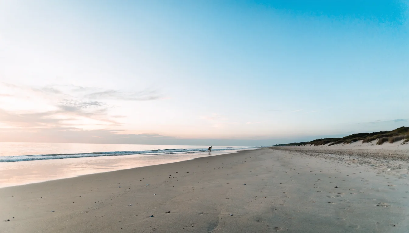 Sunrise beach in Australia with a kangaroo silhouette